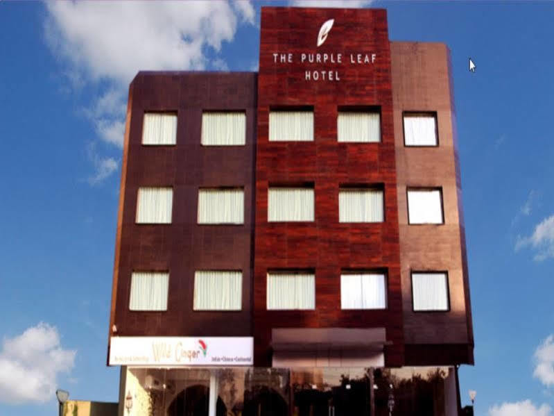 היידראבד The Purple Leaf Hotels מראה חיצוני תמונה